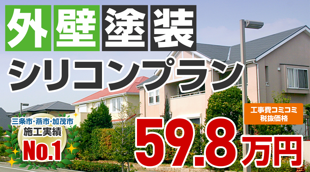 シリコンプラン塗装 598000万円