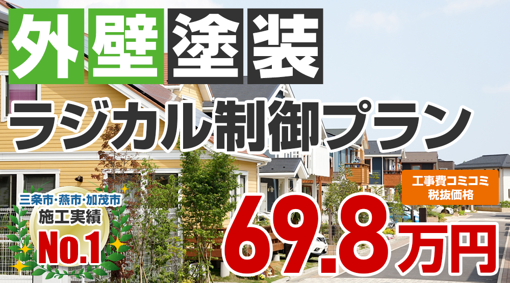 フッ素塗装プラン塗装 698000万円